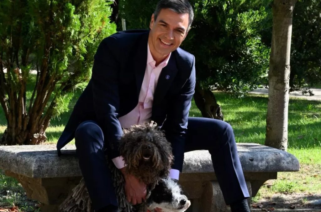 The PSOE asks Sánchez to stay at the pace of Quevedo
