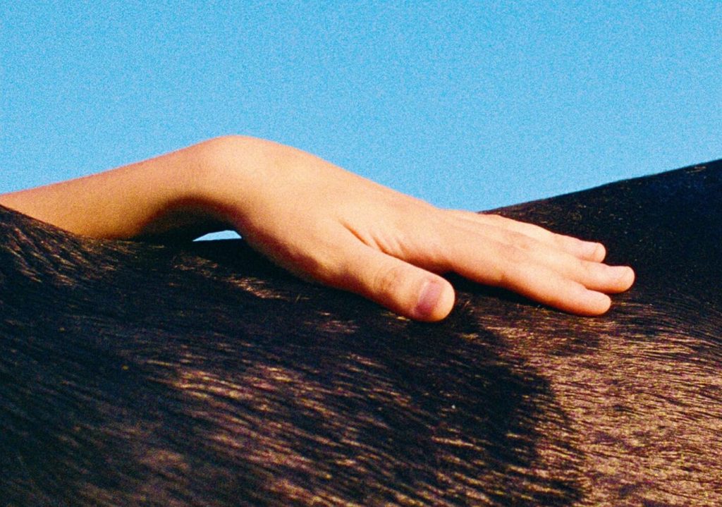 8 books to ask the Three Wise Men in 2025