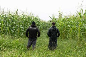 The Inspector Cluzo comparten adelanto y anuncian fecha en Madrid