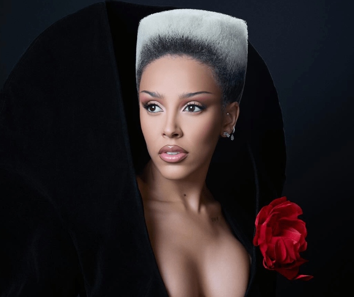 What is known about 'Vie', Doja Cat's new album