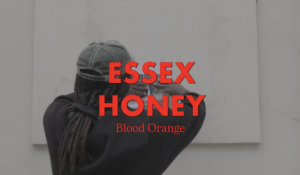 Blood Orange premieres songs, one with Lorde, Polachek and Mustafa