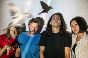 Deerhoof will retire their Spotify music
