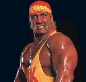 Hulk Hogan, fighter and pop culture icon dies