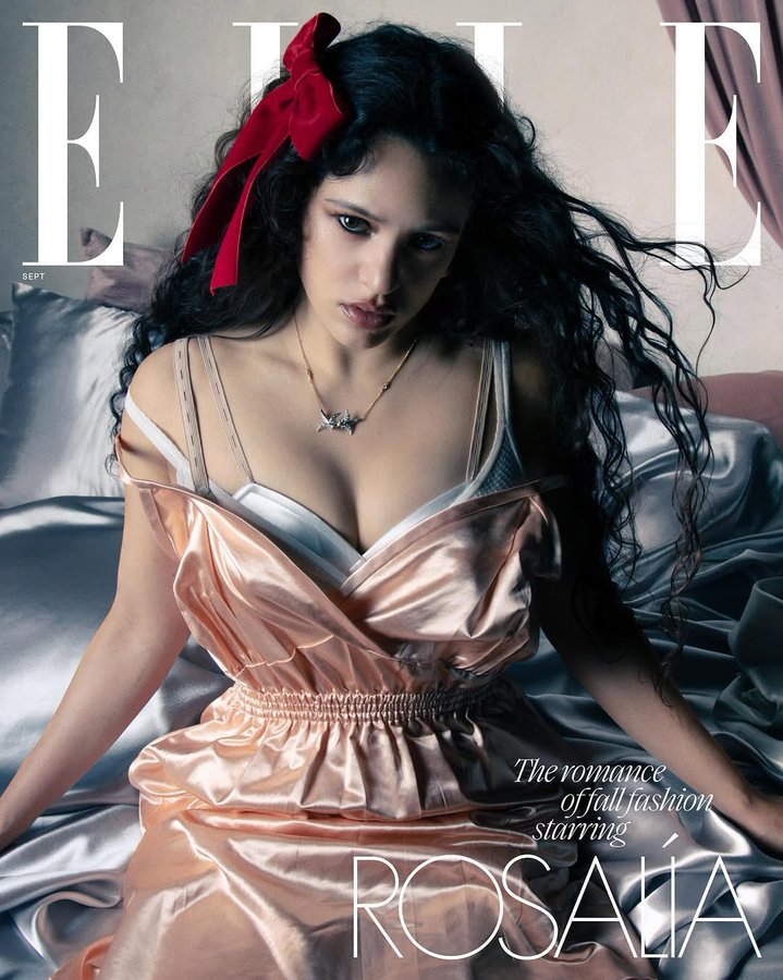 Rosalia "reappears" in Elle, but does not count anything