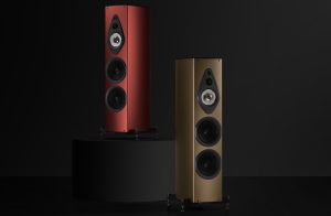 Acoustic boxes are Faber Amati supreme