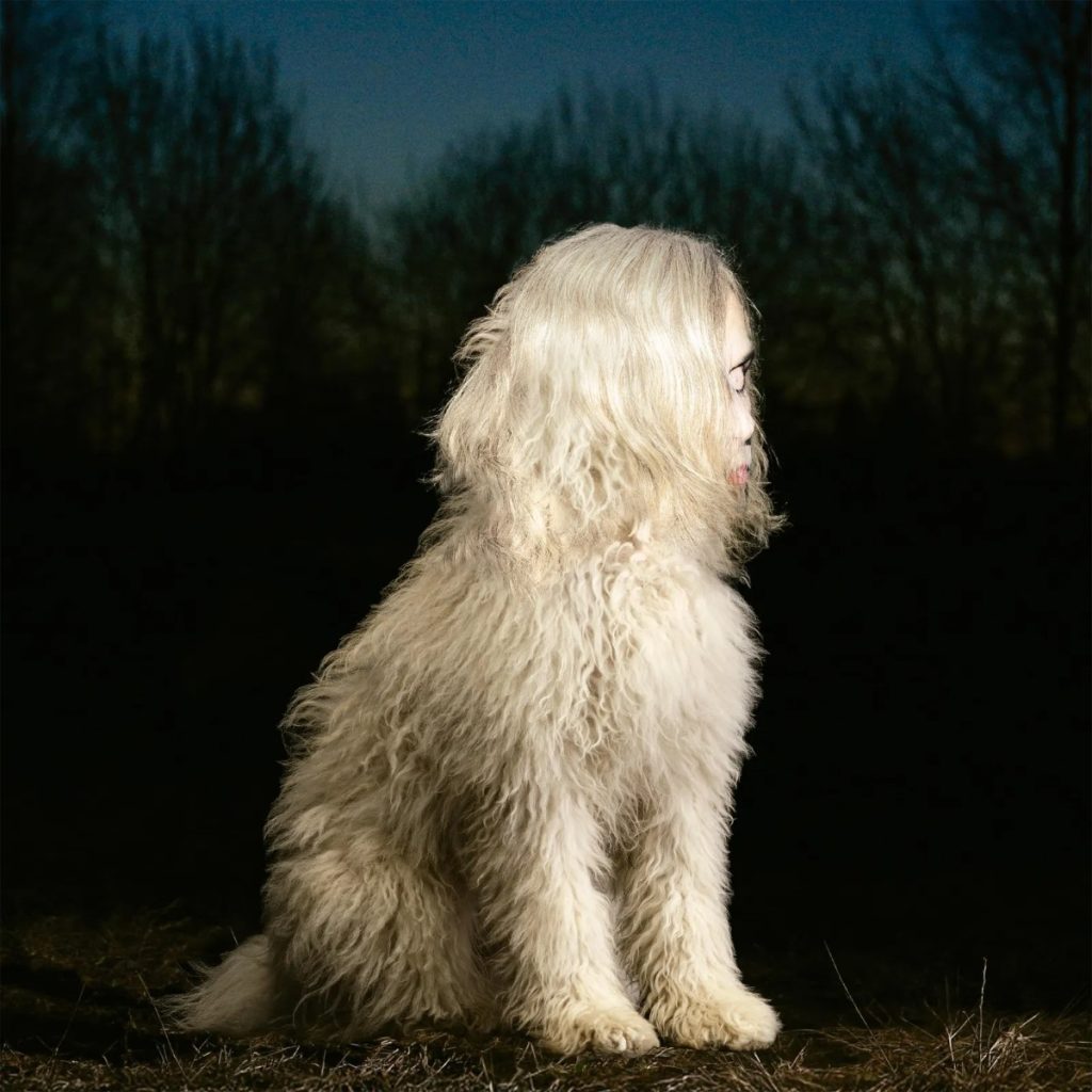 Perrura cover for 'Doga' by Juana Molina ... and Single Gatuno