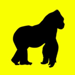 Rusowsky, finally Top 10 in Spain, exhausts Movistar Arena