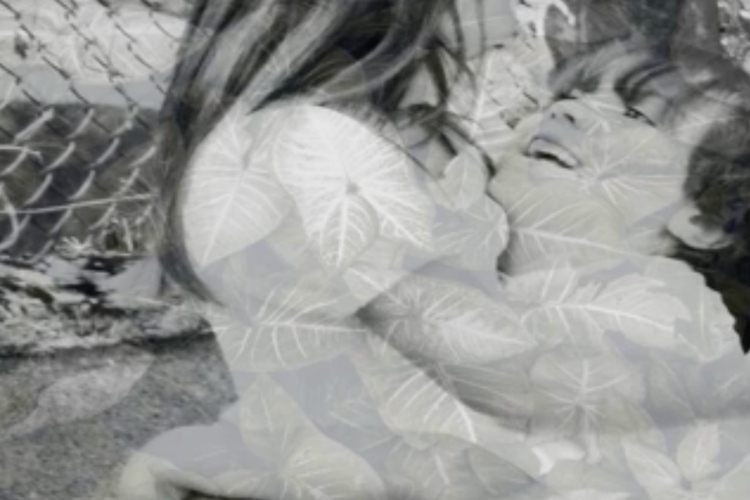 Estrenamos el single de adelanto del álbum de Hippie Johnny