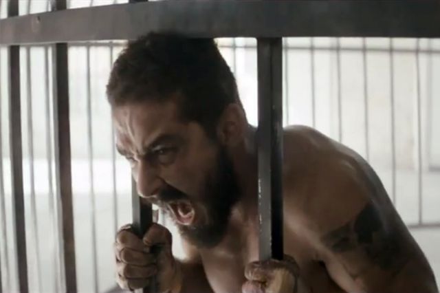 Shia LaBeouf, arrested at Carnivals