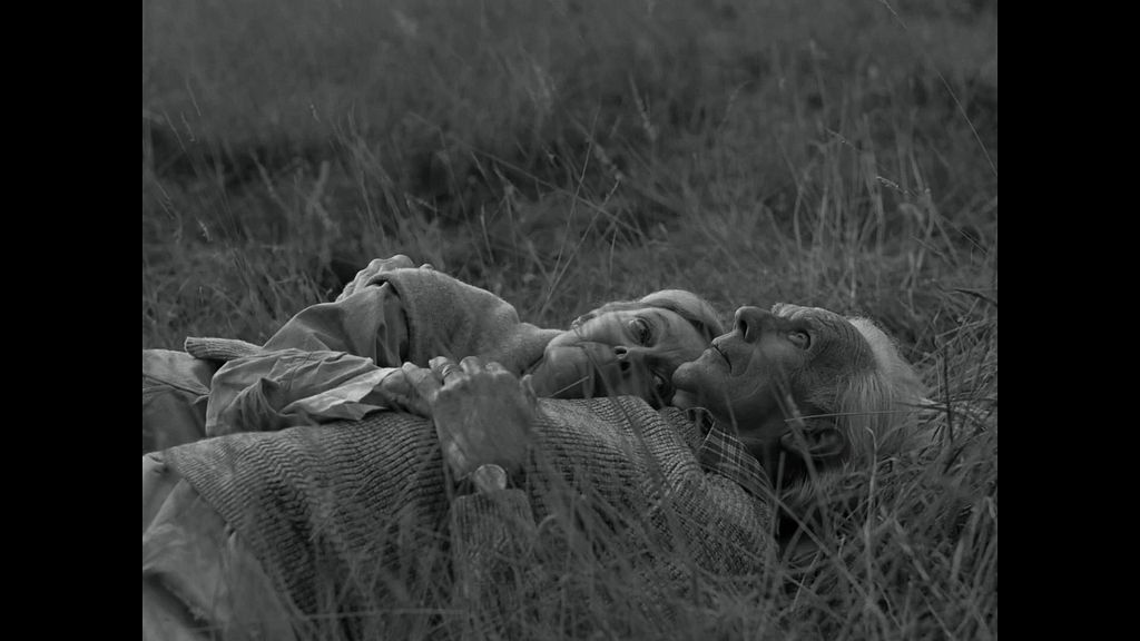 The Last Dinner Party imagine the life that could not be