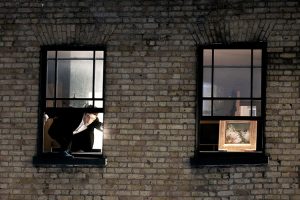 Asiste gratis al concierto acústico de My New Band Believe (black midi)