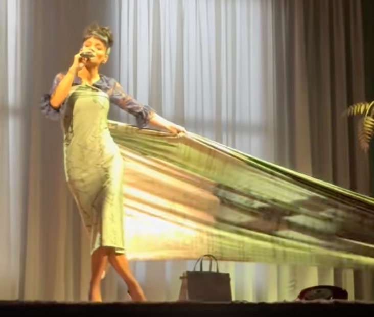 Lily Allen dresses in the receipts of David Harbor's infidelities on her new theater tour