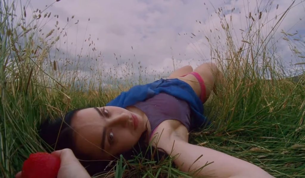 'Wink Wink' has Charli XCX's sexiest video