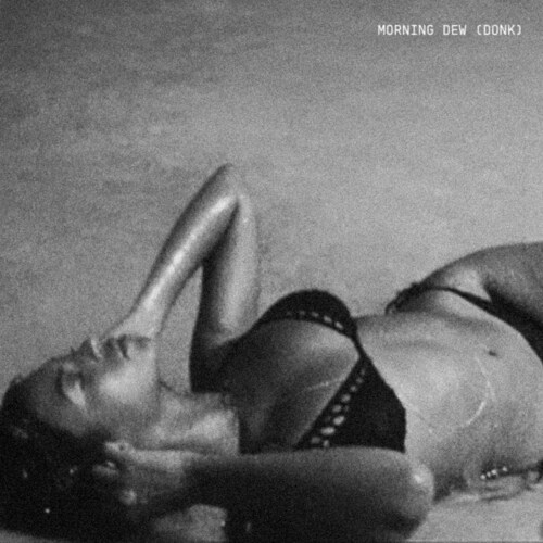Beyoncé gives away the unreleased and sexy 'Morning Dew (Donk)'