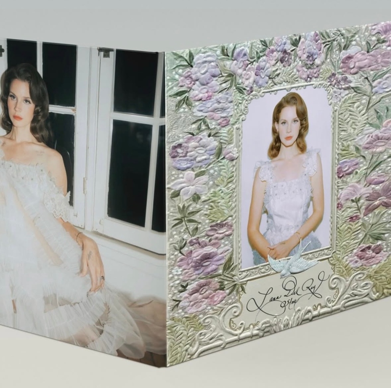 Lana Del Rey reveals cover of 'Stove' and advances another album