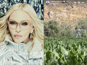 Pedro Sánchez adds Madonna's 'Danceteria' to fertilizers